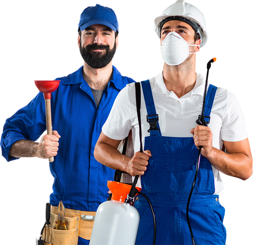 dedetizadora atendimento 24horas